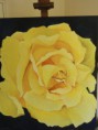 /album/schilderijen-bloemen/gele-roos-2-jpg/